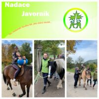 NADACE JAVORNÍK – dotované terapie podzim 2024